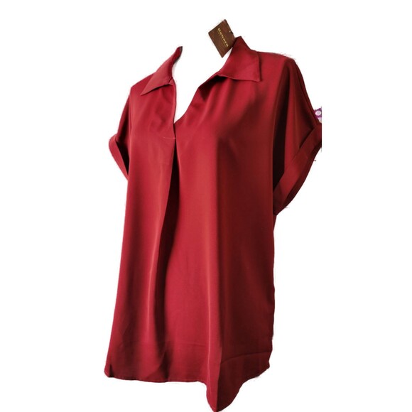 Dolman Sleeve V Neck Short Sleeve Tunic - Gaharu Sz L - Picture 3 of 7